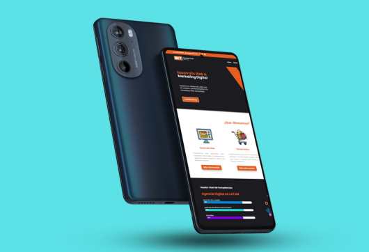 Proyecto desarrollo web I