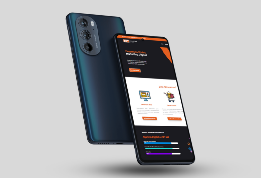 Proyecto desarrollo web II